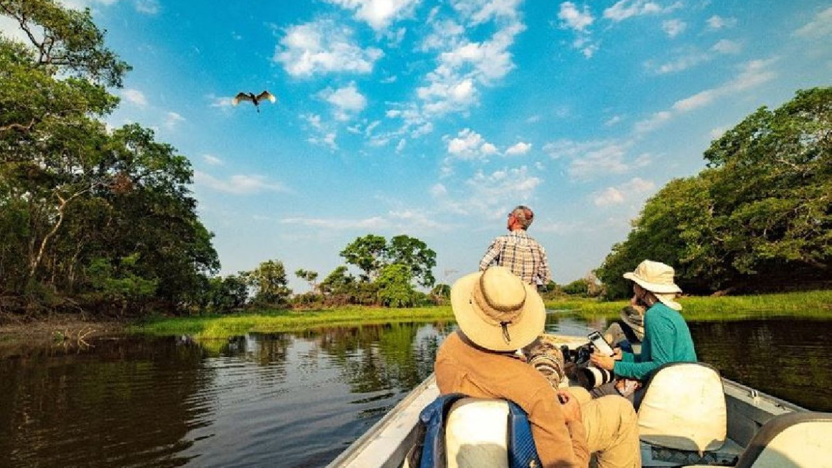 Pantanal: A Jóia do Ecoturismo Brasileiro