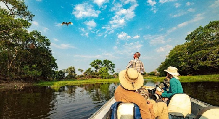 Pantanal: A Jóia do Ecoturismo Brasileiro